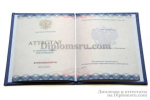 купить аттестат в Владимире